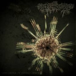 Brood Of Hatred : New Order of Intelligence Brood Of Hatred : New Order of Intelligence